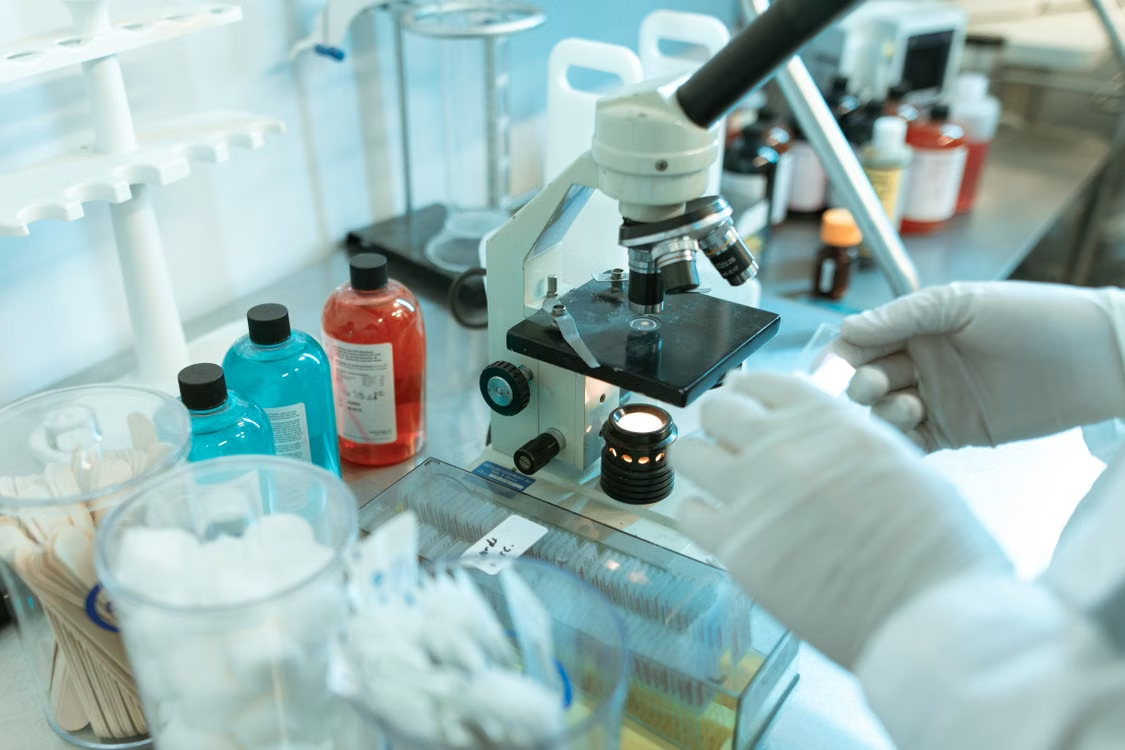 Investigación y biología del envejecimiento